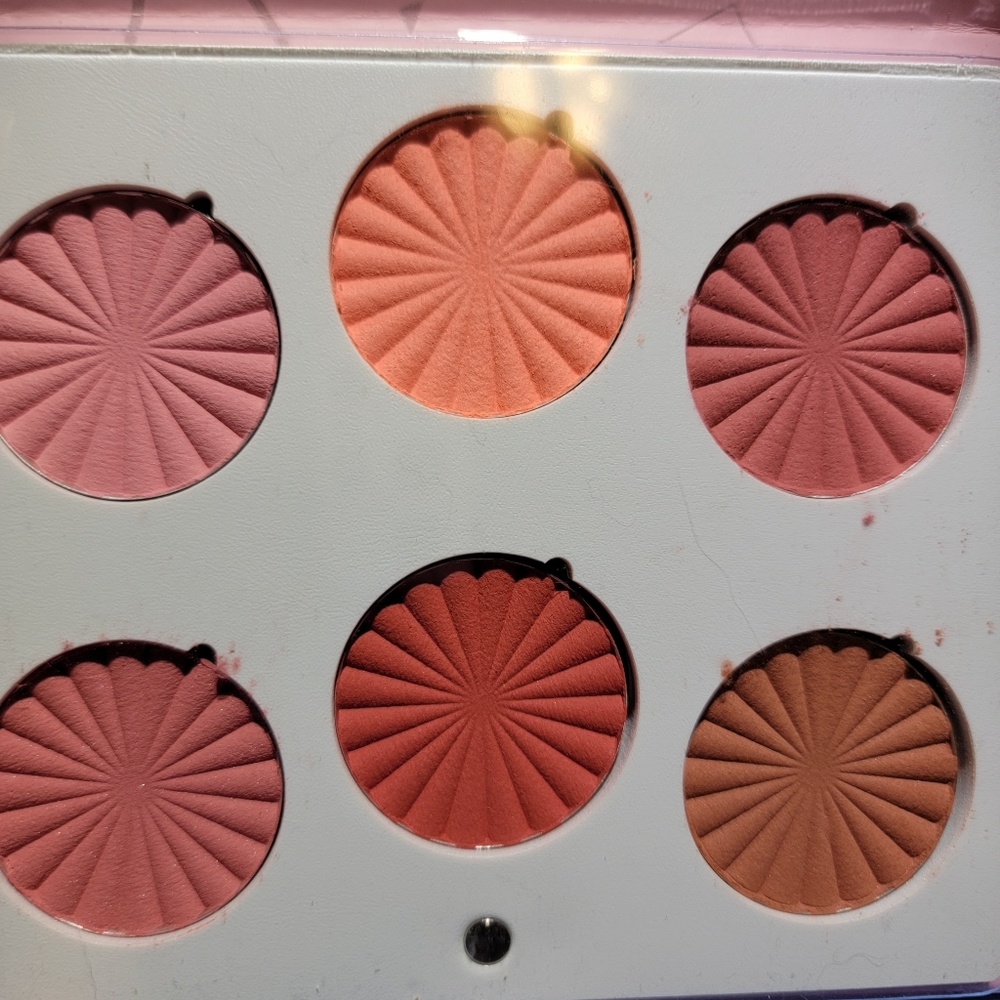 Ofra 6 pan Blush Palette in Charm Your Cheeks